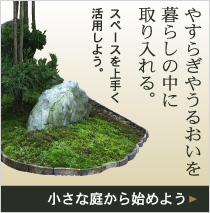 �����Ȓ납��n�߂悤